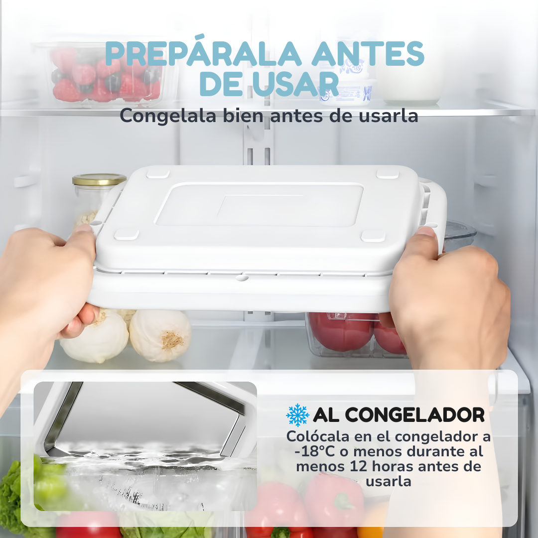 Plancha Ultrafría para helados en rollo
